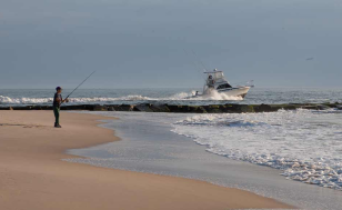 Delaware Seashore