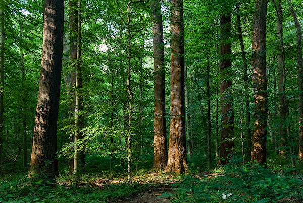 Visit Nature Preserves