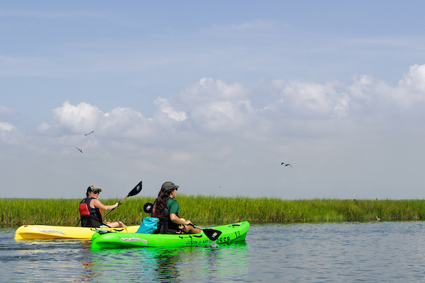 Paddle the Bay