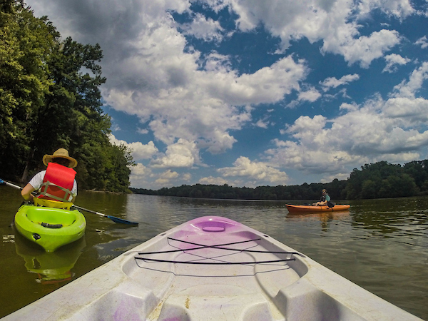 Paddle the Pond