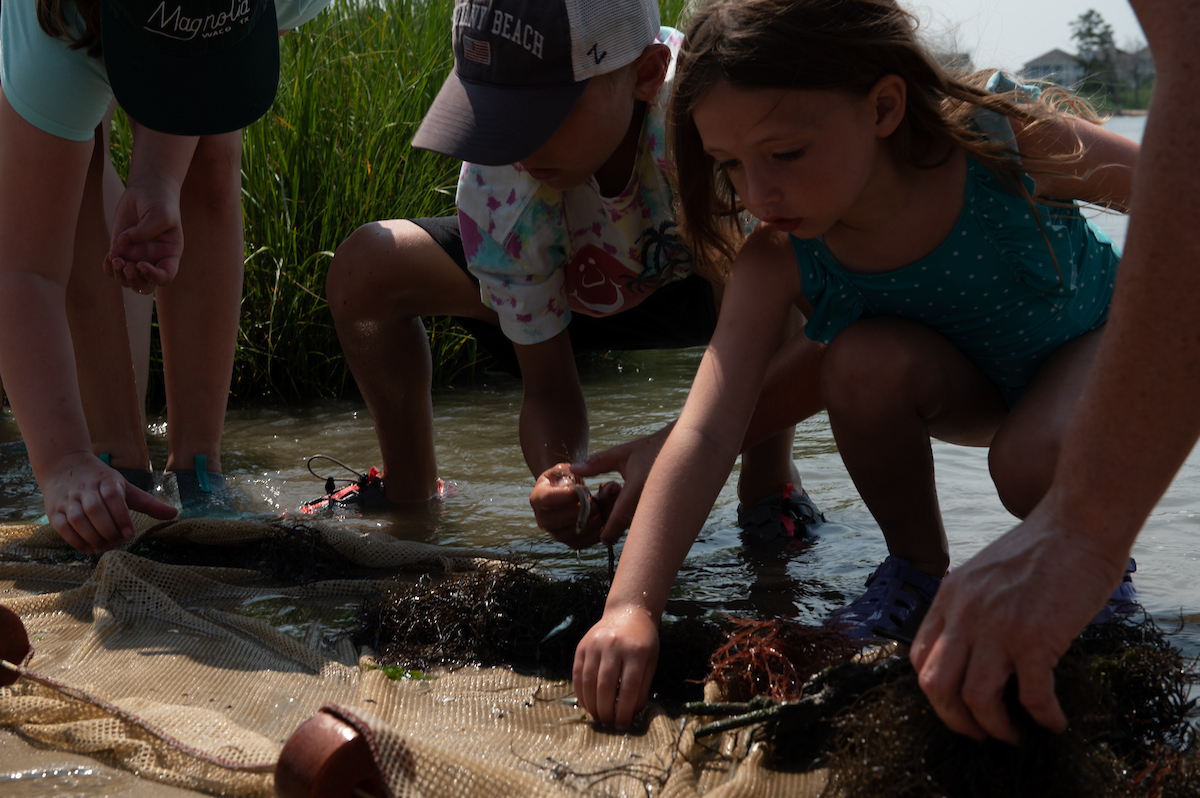 Kids catching things