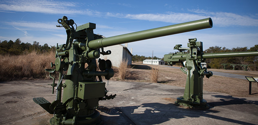 Fort Miles Guns