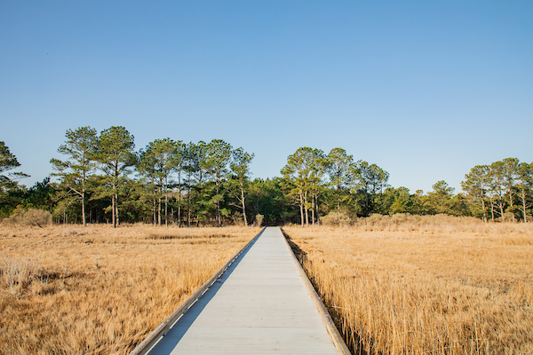 Holts Landing Seahawk Trail