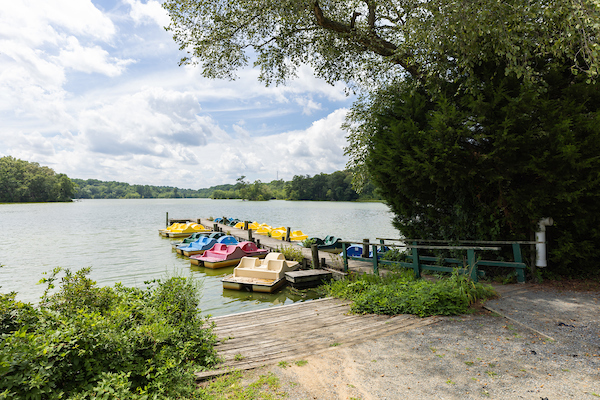 Paddle or Boat the Pond