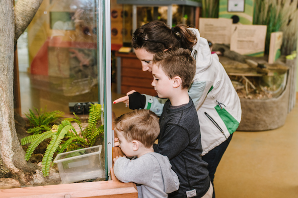 Killens Pond Nature Center