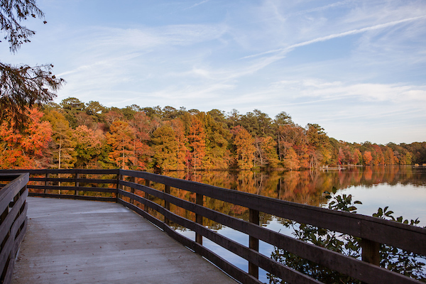 Explore the Bob Trail