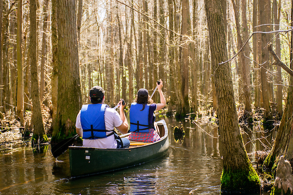 Paddle the Pond