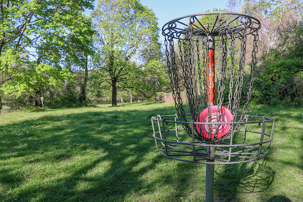 Play Disc Golf