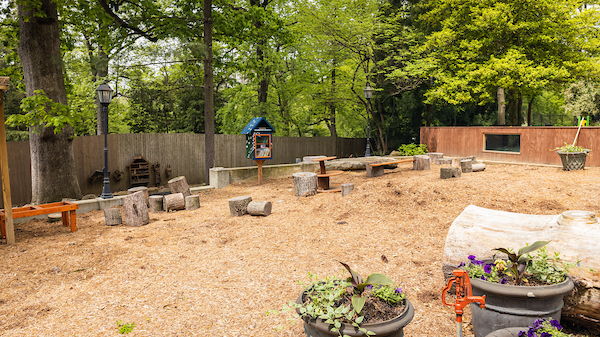 Explore the Nature Playground