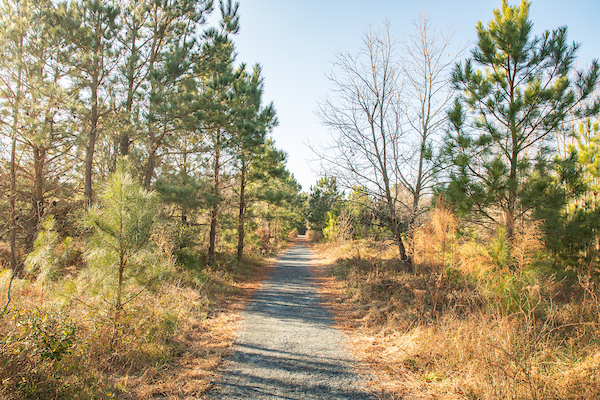 Hike the Seahawk Trail