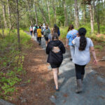 Woodland Critter Hike