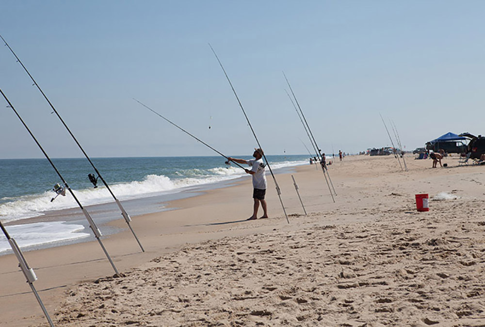 Surf Fishing Today